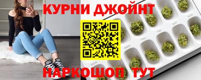 крисы Анапа