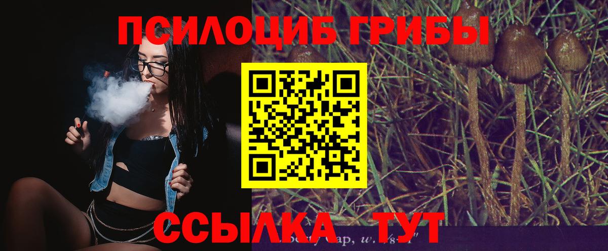 Галлюциногенные грибы GOLDEN TEACHER Туймазы